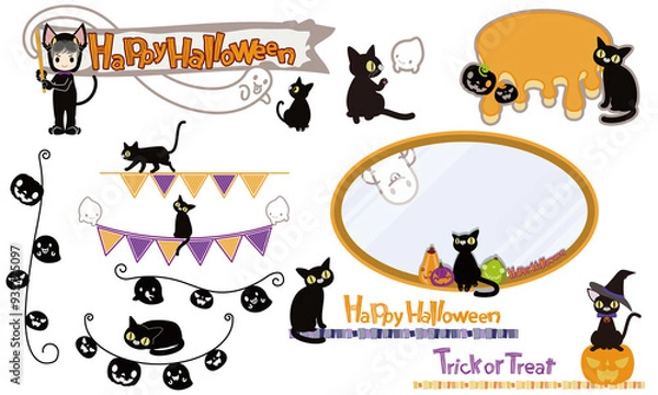 Obraz Black cat set no background