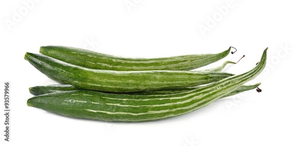 Obraz Snake gourd over white background