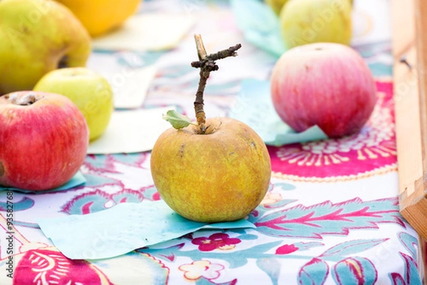 Obraz the old brown apple