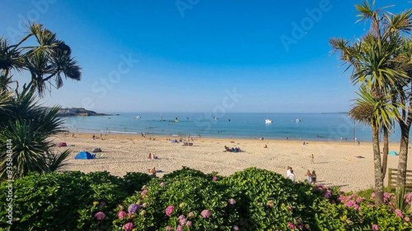 Obraz beach with palm trees