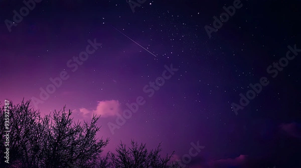 Fototapeta fantastic purple starry sky with silhouette of trees