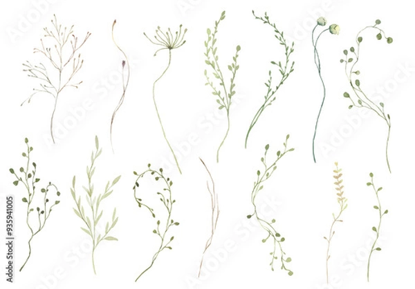 Fototapeta Watercolor Midsummer Field leaves collection with hand painted greenery leaves. Romantic botanical set perfect for wedding greeting cards, invitation.