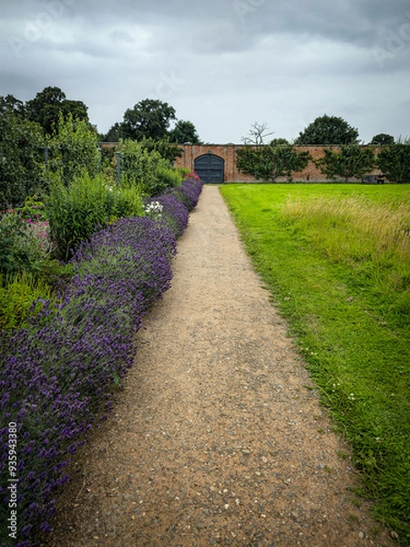 Obraz path in the park