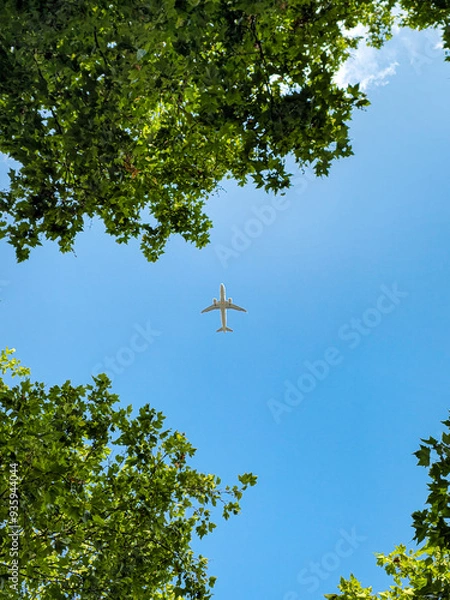 Obraz plane in the sky with trees