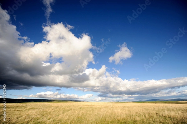 Fototapeta champs de blé