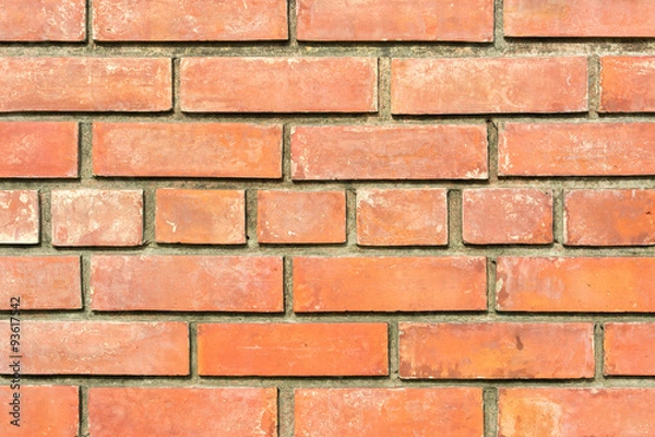 Obraz Dutch Stroop wafel