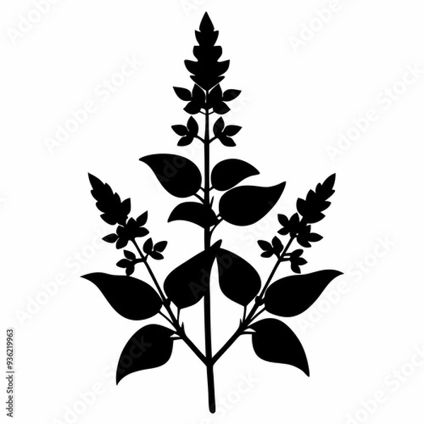 Obraz Salvia Black silhouette