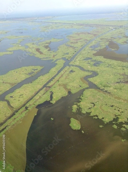 Obraz Swamp View From Above