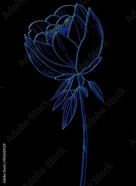 Obraz Flower in blue light on black background. Vector illustration