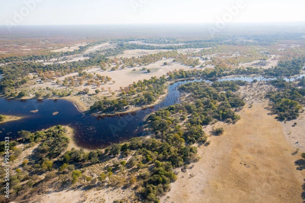 Obraz Okavango Delta