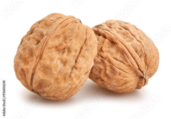 Fototapeta walnuts path isolated on white