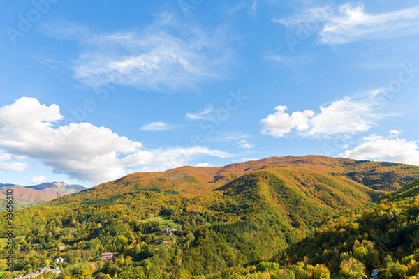 Obraz Color under the clouds