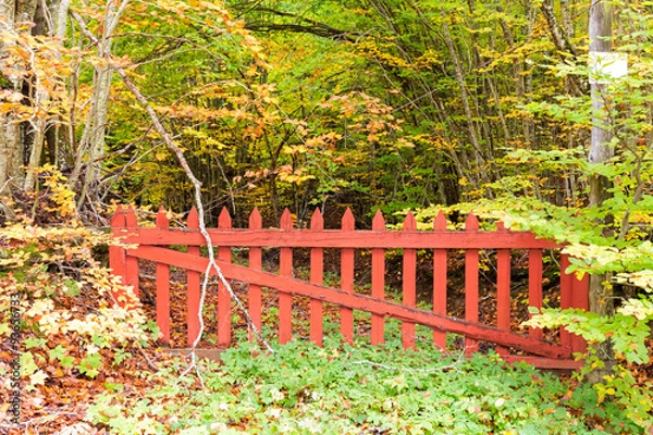 Obraz old red gate in the woods