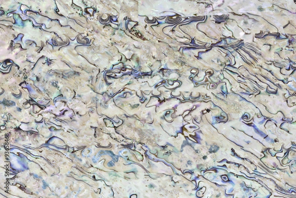 Obraz Shell plate texture