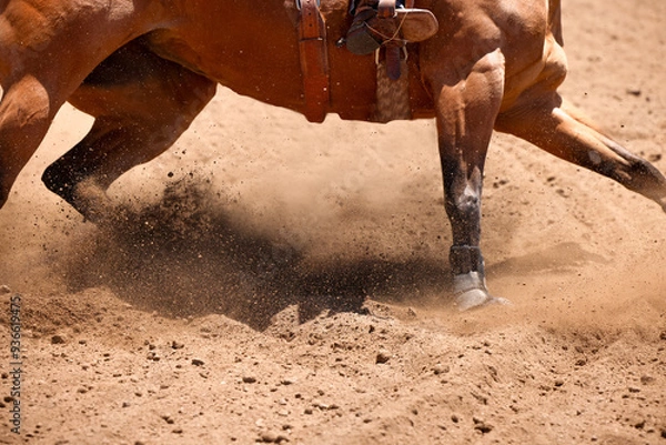Obraz A close up view of a horse running and throwing up dirt all in focus with room for text.  No people.