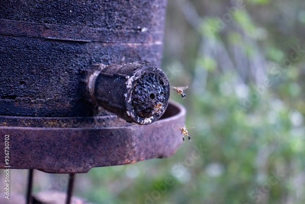 Obraz Abelhas entrando na coméia