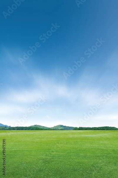 Fototapeta 하늘과 초원