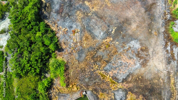 Fototapeta moss on stone