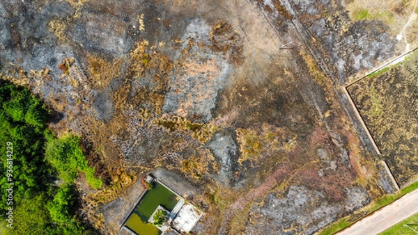 Fototapeta Deforestation area