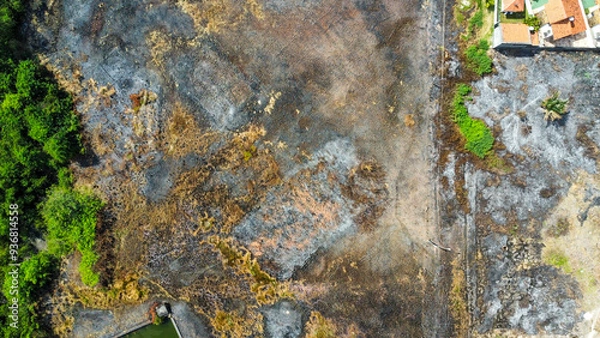 Fototapeta Deforestation