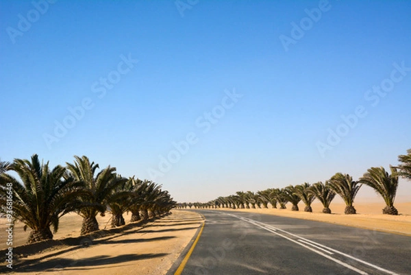 Fototapeta A long asphalt road in perspective with rows of palm trees on either side under a clear blue sky