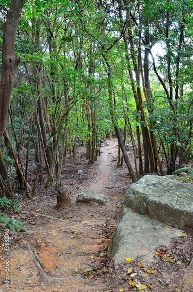 Fototapeta 京都一周トレイル　西山コース　松尾山
