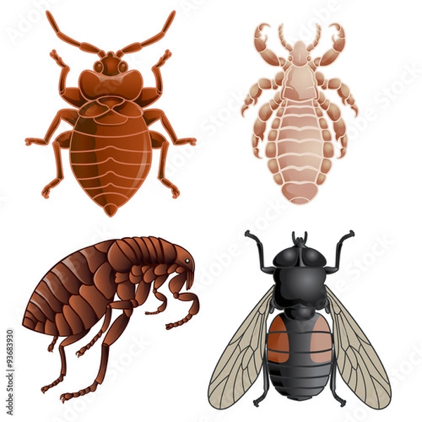 Fototapeta Set of icons with pests