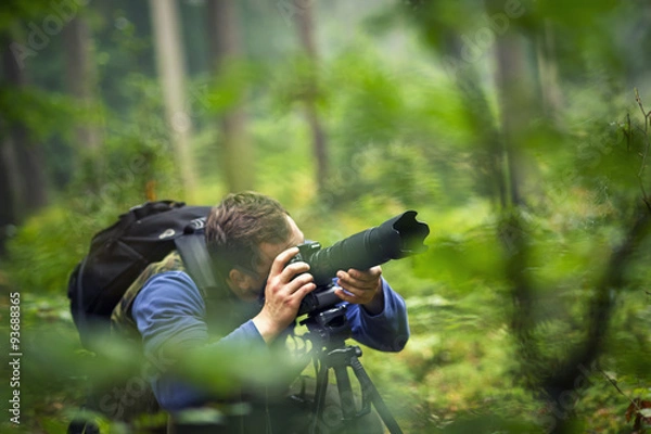 Fototapeta Man photographing in the forest