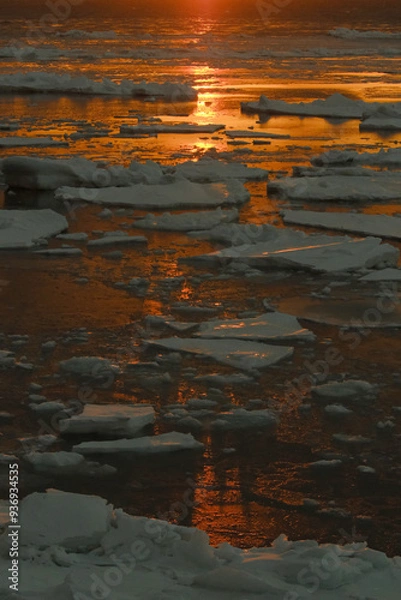 Fototapeta 知床　流氷　夕日