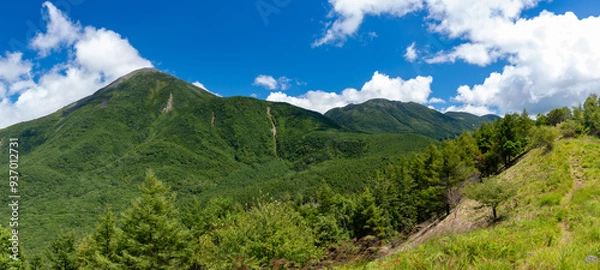 Fototapeta 絶景の八子ヶ峰トレッキング　北八ヶ岳　蓼科山と北横岳遠景　長野県　日本