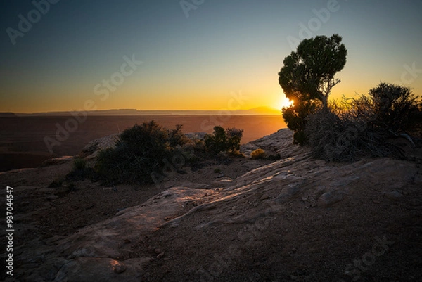 Fototapeta The Last Daylight