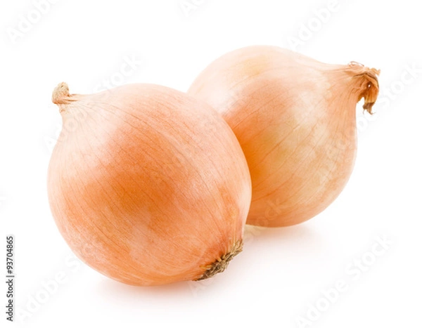 Obraz Onion