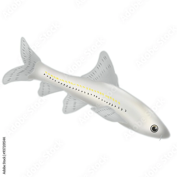 Obraz Elegant Fish Set - Endangered Species Illustration