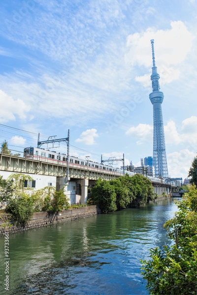 Fototapeta 東京スカイツリー