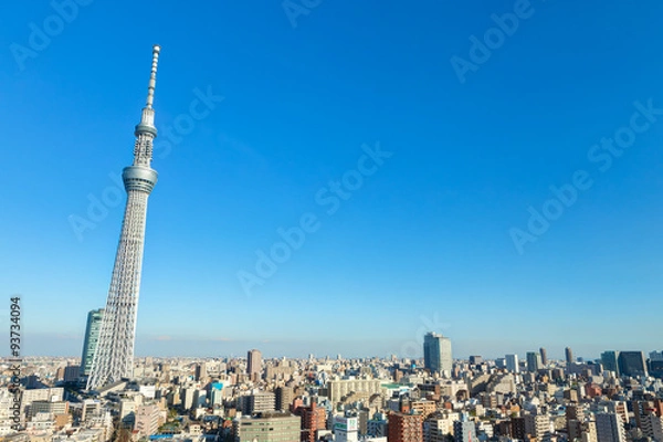 Fototapeta 東京スカイツリー ・ 青空