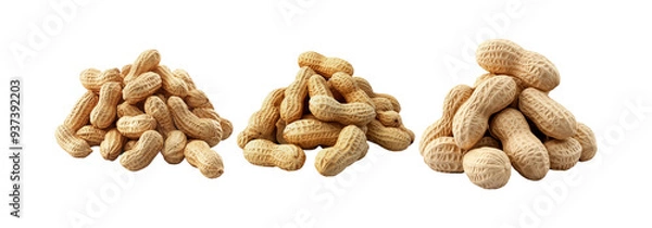 Fototapeta Peanuts set isolated on transparent background, shelled and unshelled peanuts collection for snacks and cooking