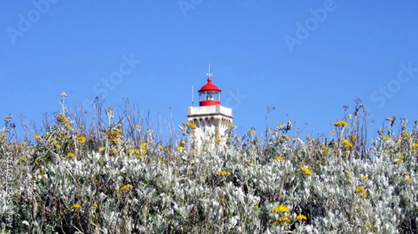 Obraz phare des poulains