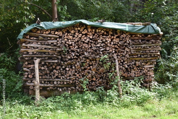 Obraz Holzstapel mit Plane