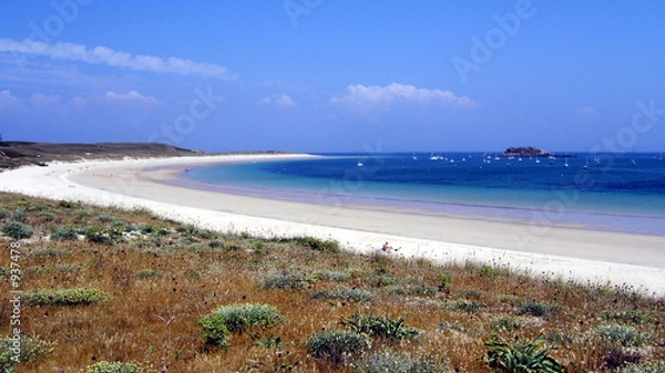 Obraz treach' er salus