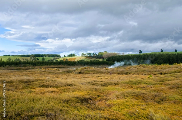 Fototapeta The Craters of the Moon is a geothermal walk located just north of Taupo. The walk features mud craters, steaming with geothermal activity.