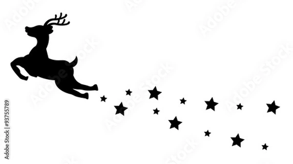 Obraz fliegendes Reniter mit Sternenschweif