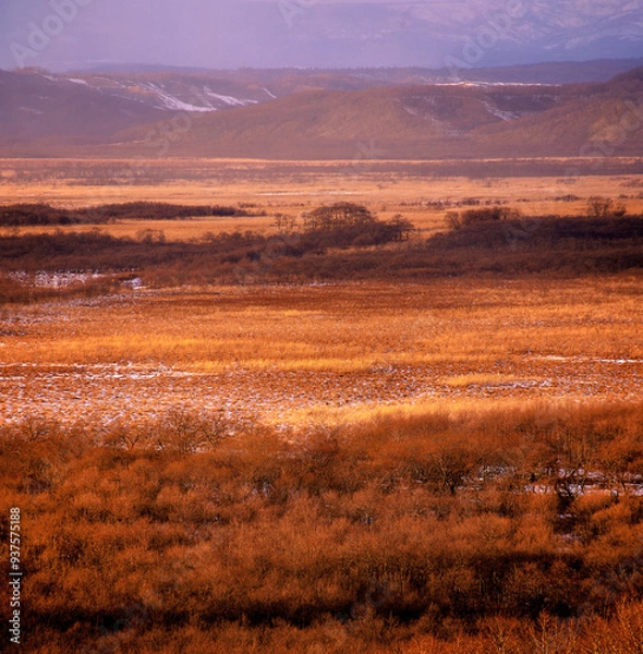 Fototapeta 秋の釧路湿原（釧路町）