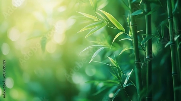 Fototapeta Bamboo forest and green meadow grass with natural light in blur style. Bamboos green leaves and bamboo tree with bokeh in nature forest. Nature pattern view of leaf on blurred greenery background, ai
