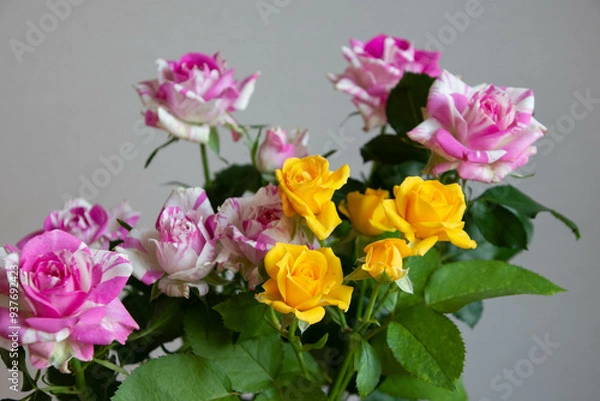 Fototapeta スプレーばら