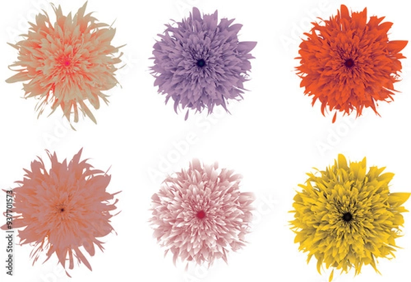 Fototapeta Flowers of different colors. Flower set.