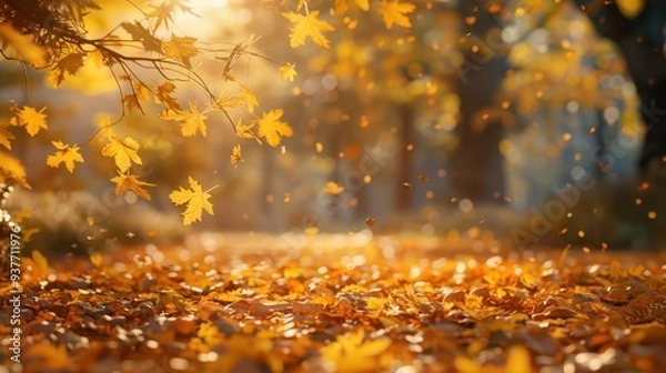 Obraz Falling Autumn Leaves.