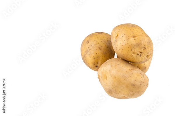Obraz Potatoes on white background