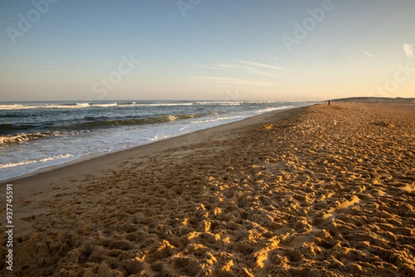 Fototapeta Landes, France