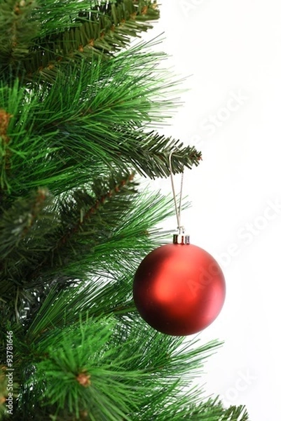 Fototapeta Christmas Decorations