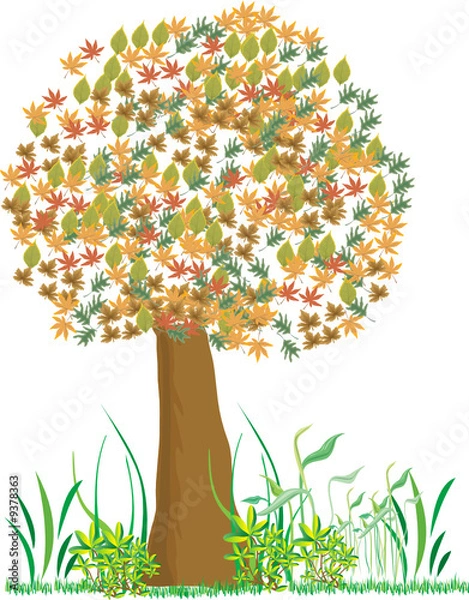 Obraz albero d'autunno